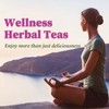 FullChea - Echinacea Tea Bags, 50 Count, 2g/bag - Premium