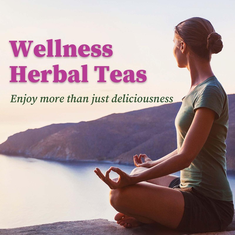 FullChea - Echinacea Tea Bags, 50 Count, 2g/bag - Premium