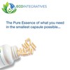 EcoIntegratives Active Multivitamin | ADK, Methyl B Complex, Antioxidants |