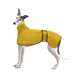 Dog Jacket Adjustable Lightweight Raincoat with Reflective Straps and Harness Hole Best Gift for Greyhounds, Lurchers and Whippets -Yellow -XXXL