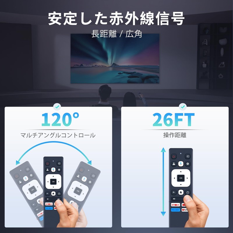 Tunerless TV Remote Control for FPD 32V 40V 43V Google