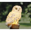 HI 70209 LED Solar Garden Stake Owl