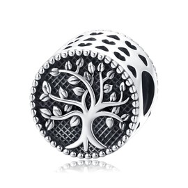 Eusense Charm 925 Sterling Silver Bead Charms, Fit European Bracelets, Bracelet Pendant Jewellery Gift, Sterling Silver