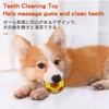 SCHITEC Dog Balls with Bell Sound, [4 Pack] Rubber Bouncy