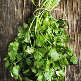 Eden Brothers Cilantro/Coriander Seeds - Fiesta Green