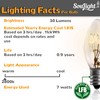 7 Watt Night Light Replacement Bulbs - 12 Pack Salt