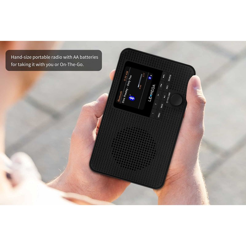 LEMEGA IR1 Portable WiFi Internet Radio,FM Digital Radio,Bluetooth Speaker,Dual Alarms