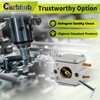 Carbhub 300981002 Carburetor fit for Homelite 33cc UT-10532 UT10947A Ryobi