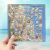 Goiern Acrylic Magnetic Shell Display Box Shell Storage Box Decorative