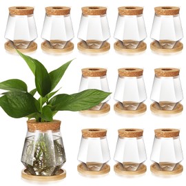 Baderke 12 Packs Propagation Vases for Plants Plastic Plant Propagation with Hole Lid and Bamboo Stand Growing in Water Hydroponic Home Office Desktop Vase Decoration (Cup Style)