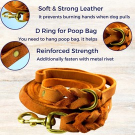 Leatherow Braided Leather Dog Leash 10 Foot - Regular Use Heavy Duty Dog Leashes for Large Medium Small Dogs. Soft Full Grain Leather Lead, Actual Size in Ten Feet / Ft ( TAN Color)