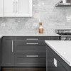 Ravinte Brushed Nickel Cabinet Handles 25 Pack 8-4/5 inch Satin