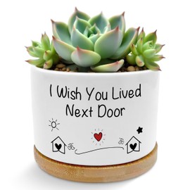 ROXMART I Wish You Lived Next Door Gifts Plant Pots Succulent Planters