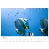 Highlights from the Sea Diving Calendar (Wall Calendar 2026 DIN
