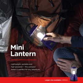 Enbrighten LED Mini Camping Lantern, Battery Powered, 200 Lumens, 40 Hour Runtime, 3 Modes, Night Light for Kids, Ideal for Hiking, Outdoors, Emergency, Snow, Hurricane and Storm, Purple, 49562