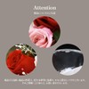 Natural Diamond Powder with puriza-budohurawa-・purinsesu Shoe