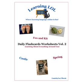 Daily Flashcards Worksheets Vol. 2: Learning About Everything Around You!