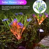 Elegant Choise Solar Garden Lights, Flower Pathway Lights Outdoor Waterproof,Garden