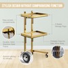 Multifunctional 2-Tray Utility Cart on Wheels - Gold 2-Level Medical