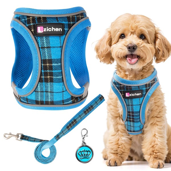 Dog Harness Small Dogs with Lead, Adjustable Step-In Puppy Harness,