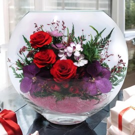 Fiora Flower | Long Lasting Real Roses in a Sealed Vase | Lasts up to 5 Years | Unique Present Gift (Enigma)