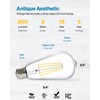 Sunco 12 Pack Edison Bulbs LED ST64, Clear Vintage Filament