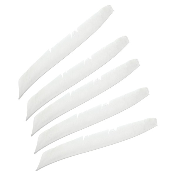 PATIKIL Arrows Vanes, 50 Pack 11 Inch Turkey Feather Arrow