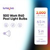 lumenivo R40 500 Watt Pool Bulb Replacement for Halco R40FL500/HG