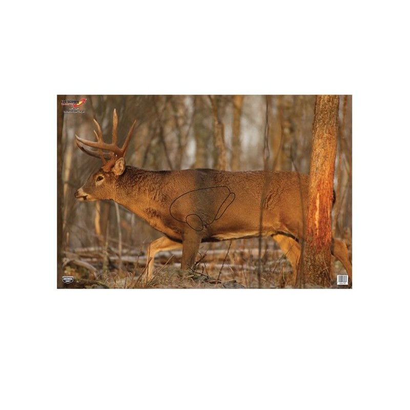 Birchwood Casey 37481 EZE-Scorer Deer 23x35