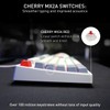 CHERRY XTRFY K4V2 TKL Mechanical Gaming Keyboard | Wired Without