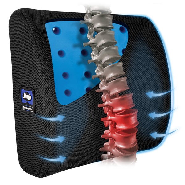 Sealy Gel Infused Lumbar