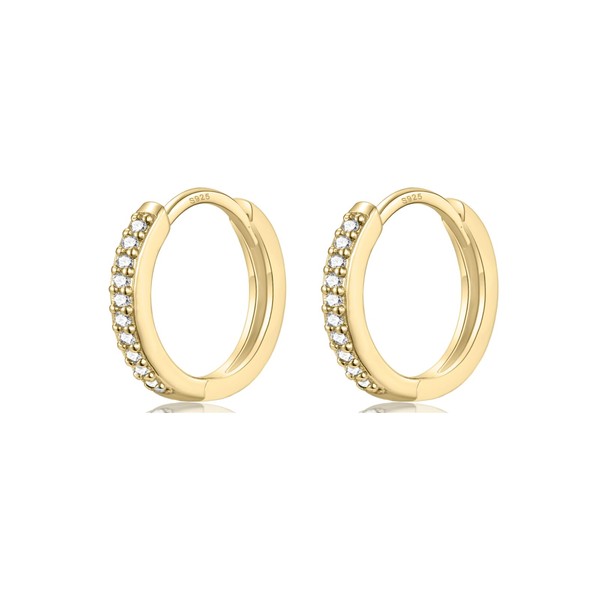 WOVEE 1 Pair of Small Gold Hoop Earrings 10 mm
