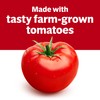 Campbell’s Condensed Heart Healthy Tomato Soup, 10.75 oz Can (12