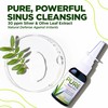 Pure Nasal Mist 1.5oz | Sinus Relief Nasal Spray |