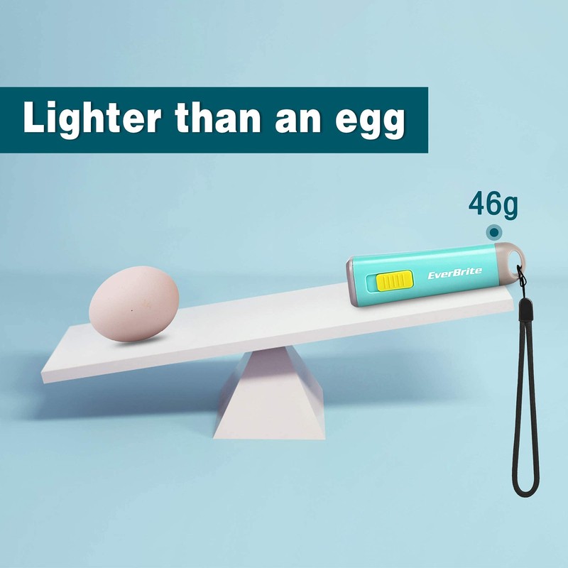 EverBrite Mini LED Kids Flashlight - Lightweight (46g) Torch with