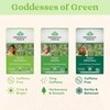 ORGANIC INDIA Tulsi Moringa Tea Bags- Holy Basil, Lemongrass, Moringa