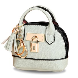 PITAPURO Mini Pouch, Charm, Smart Key Case, Pouch with Carabiner, Compact Accessory Holder, 3 Colors Available, green