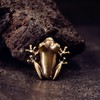 2PCS Brass Ornament, Frog Desk Crafts | Home Decor Exquisite