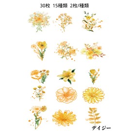 Zolarkar 30 Pcs Diary Stickers Flake Stickers Flower Stickers Gold Foil Cute Transparent Collage Material PET Waterproof Plant Stickable Decor Stickers Suitable for Scrapbooking, Diary, Photo Album,