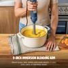 Ninja Immersion Blender and Whisk, Hand Stick Blender, 4 Speeds,