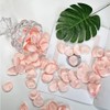 MIUINCY 200PCS Rose Petals, Pink Flower Girl Scatter Petals for