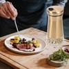 Ciieeo 2Pcs Seasoning Shaker Visible Condiment Bottles for Salt Pepper