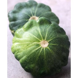 FUN AND GROW SEEDS: Seeds Patty Pan Green Disk Squash Non GMO Heirloom