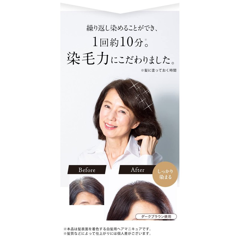 Sastty Rishiri Color Cream (Dark Brown) 6.0 oz (170 g)