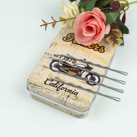 Long Bobby Pins 2.75 Inch Jumbo Hair Pins with Cute Case, 100 CT Bobby Pins for Buns, Premium Hair Pins for Kids, Girls and Women, Great for All Hair Types (Silver)