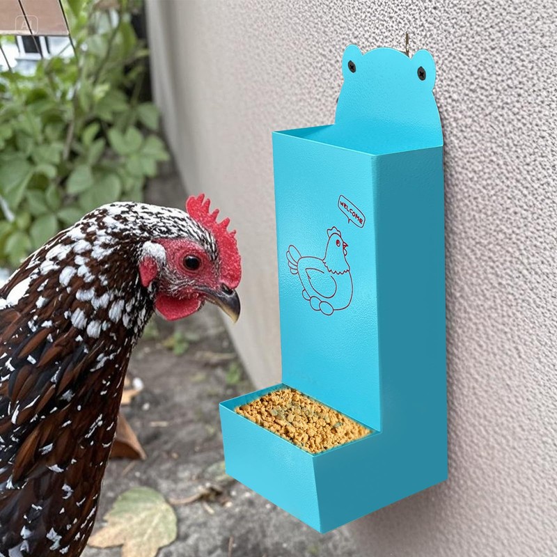 Chicken Oyster Shell Feeder and Automatic Gravity Chicken Feeder Combo