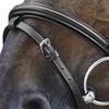 Waldhausen Star Bridle Basic Warmblood Black