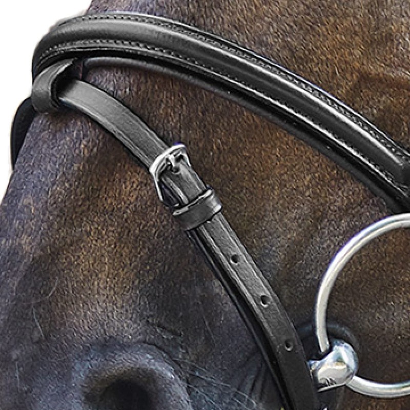 Waldhausen Star Bridle Basic Warmblood Black