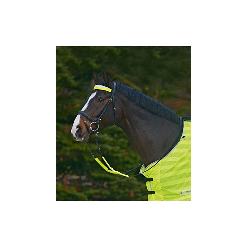 REFLEX Trensenzaum-Set