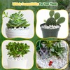 Doter Organic Chunky Perlite for Plants (0.4"-0.8" in Diameter), Natural